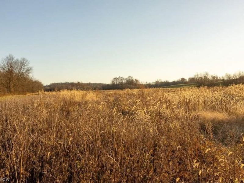 Lambert, Roseville, OH 43777 Photo 2