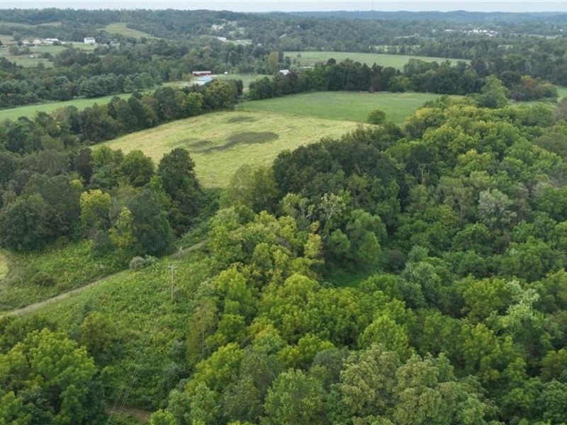 Lambert, Roseville, OH 43777 Photo 21