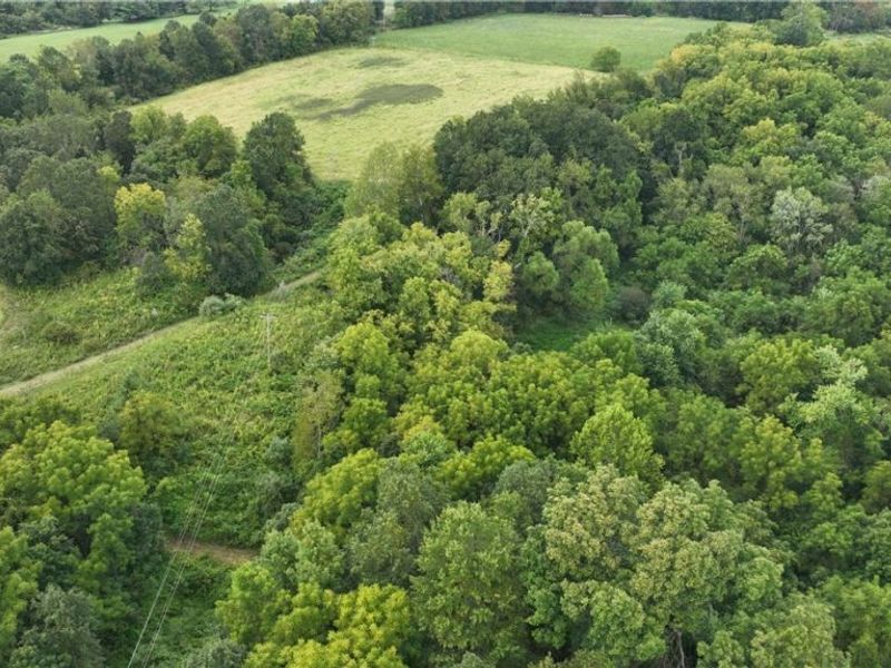 Lambert, Roseville, OH 43777 Photo 22