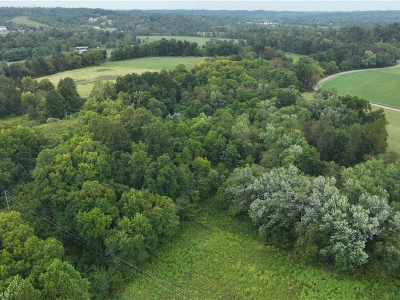 Lambert, Roseville, OH 43777 Photo 23