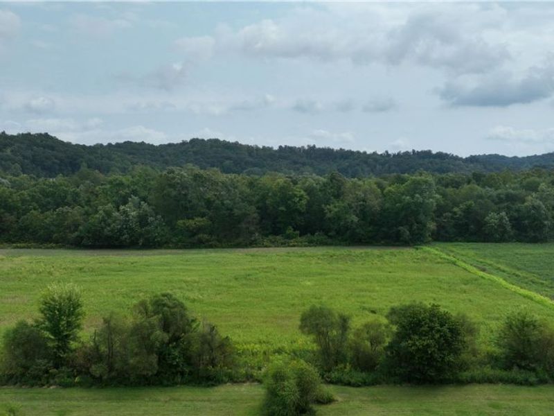 Lambert, Roseville, OH 43777 Photo 25