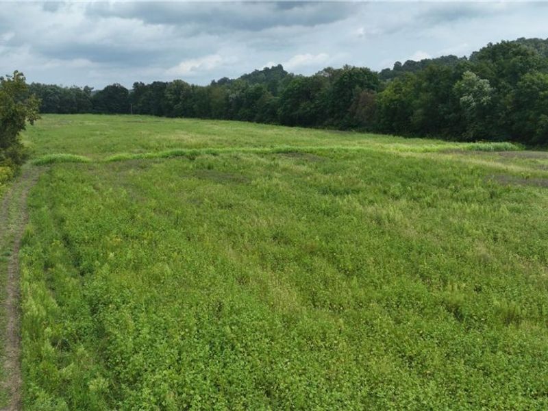 Lambert, Roseville, OH 43777 Photo 26