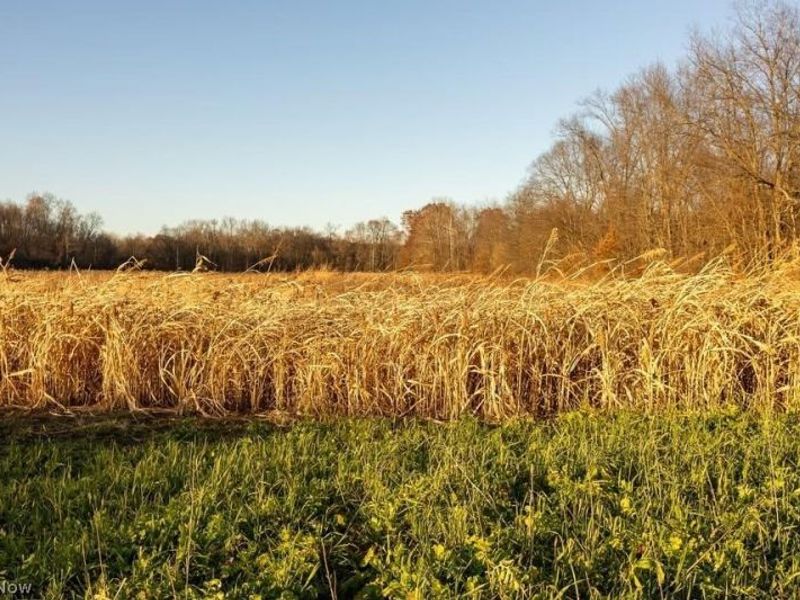 Lambert, Roseville, OH 43777 Photo 3