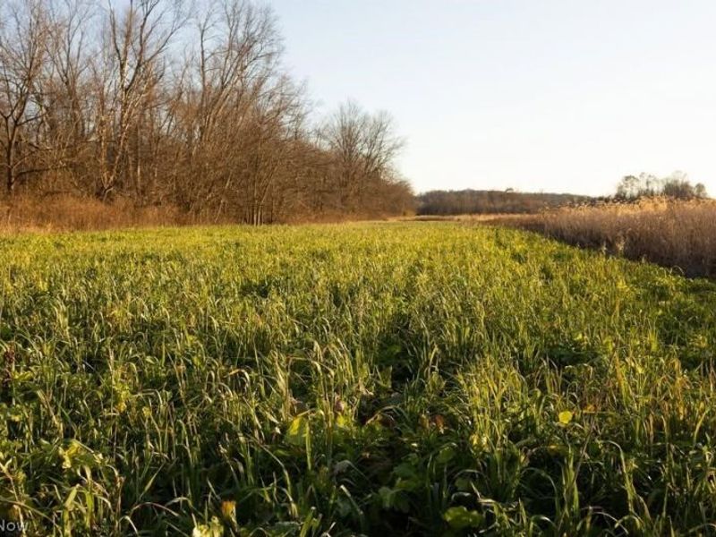 Lambert, Roseville, OH 43777 Photo 4