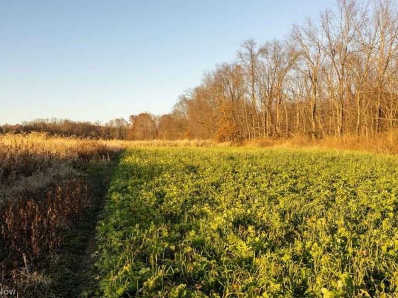 Lambert, Roseville, OH 43777 Photo 5