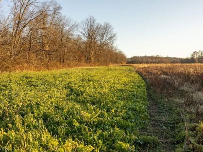 Lambert, Roseville, OH 43777 Photo 6