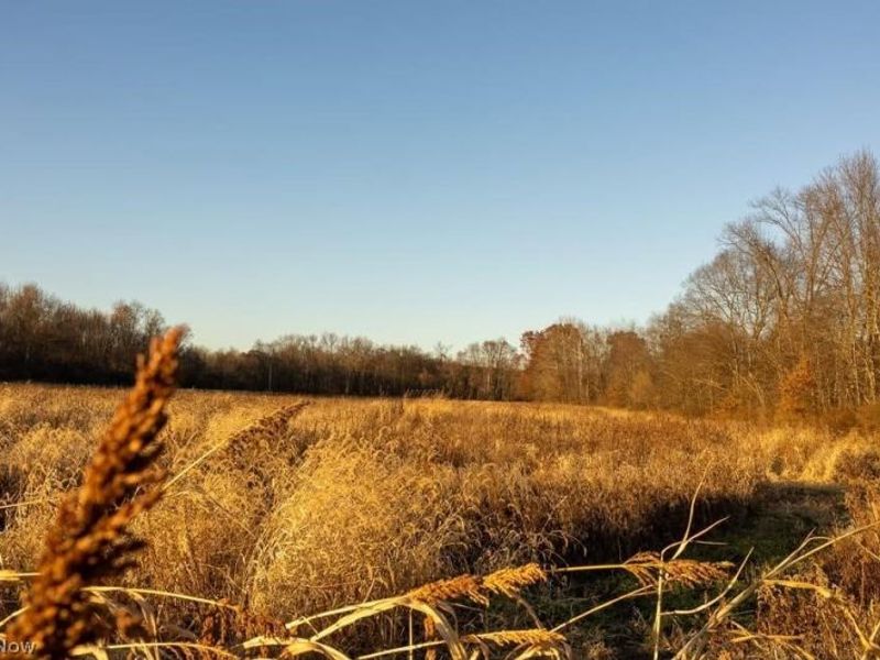 Lambert, Roseville, OH 43777 Photo 7