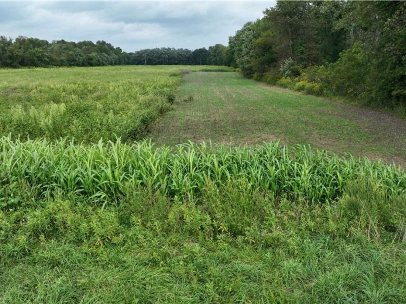 Lambert, Roseville, OH 43777 Photo 9