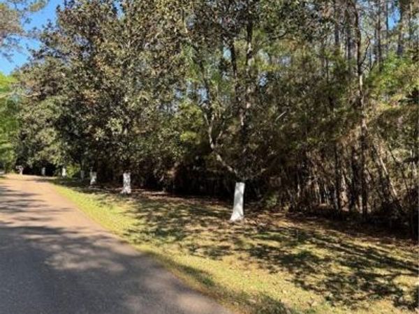 13261 THERESA NAVE Road , Folsom, LA 70437