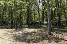 115 Ash Hill Drive photo 4