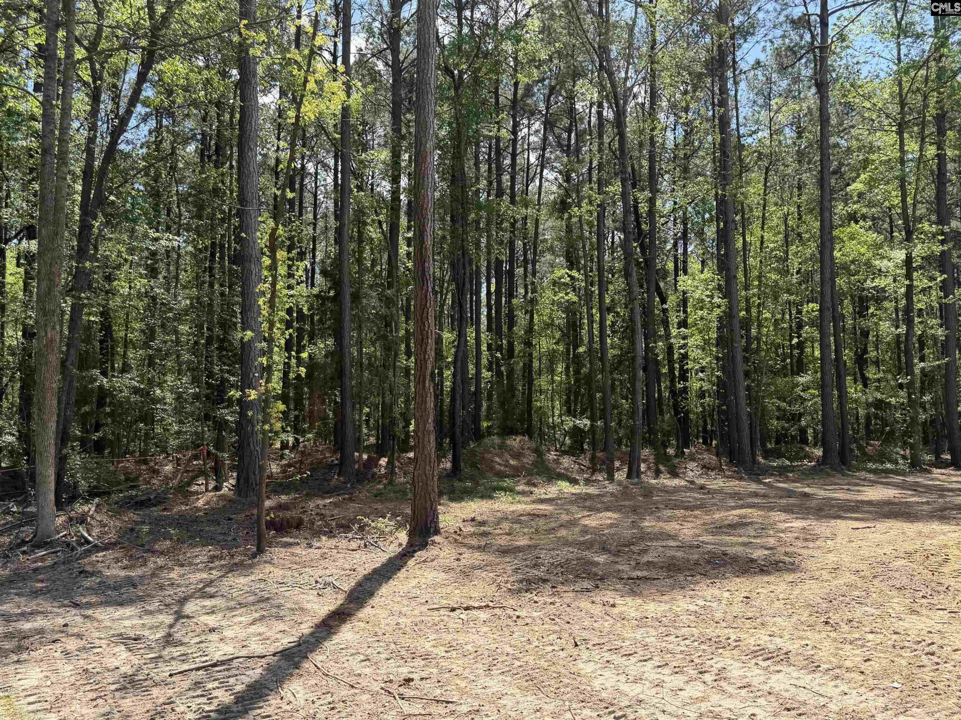 115 Ash Hill Drive Photo 4