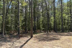 115 Ash Hill Drive photo 4