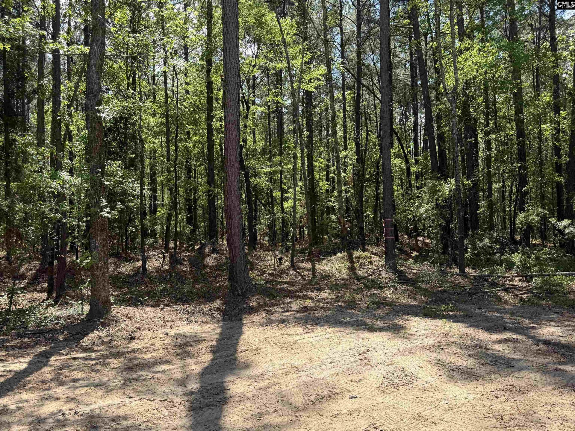 115 Ash Hill Drive Photo 6