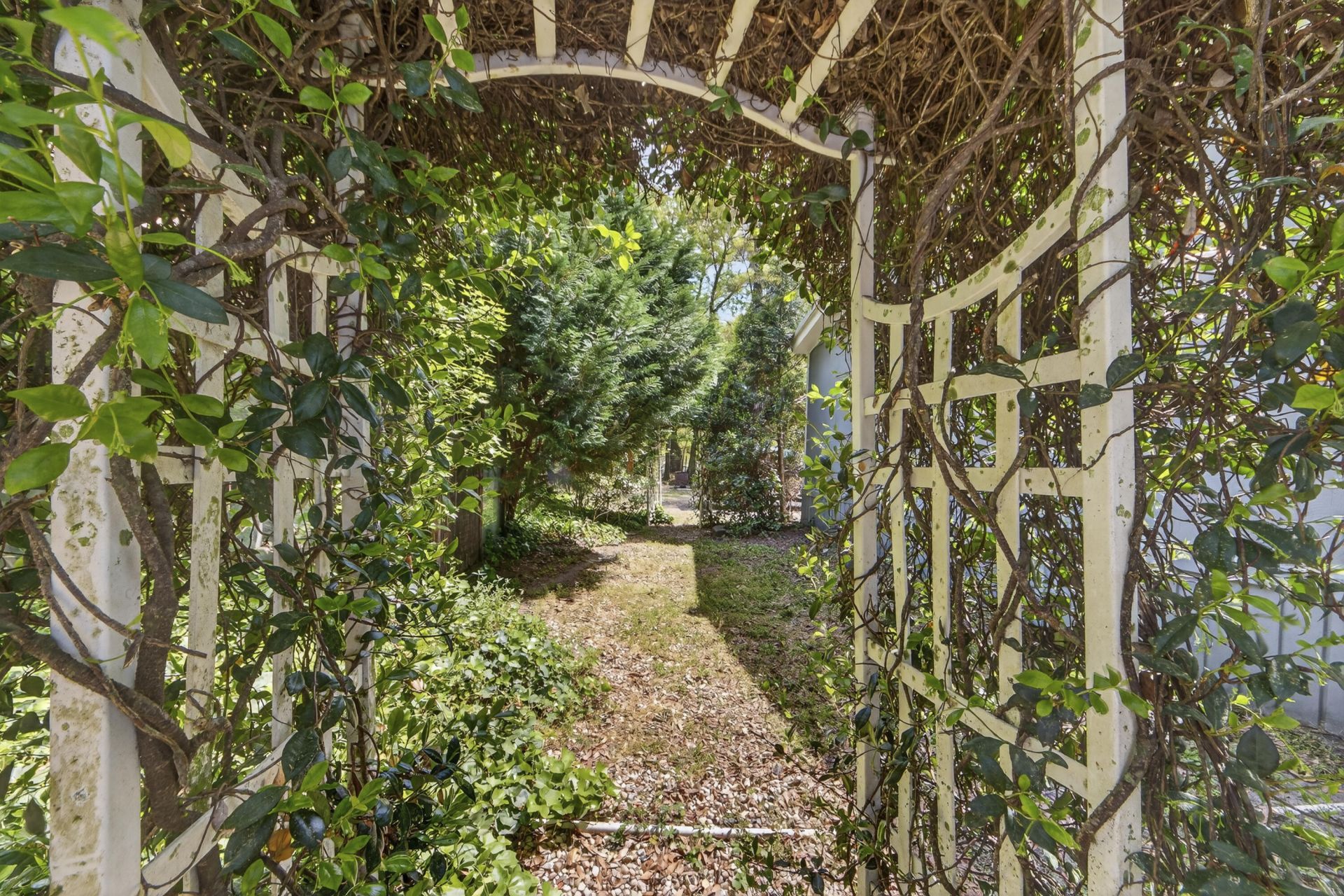 4869 Slans Island Road Photo 41