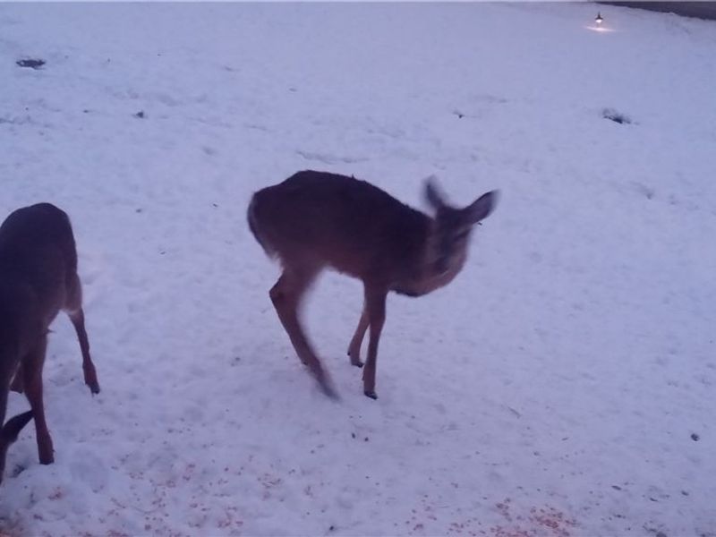 10294 Township Road 57 NE, Roseville, OH 43777 Photo 1