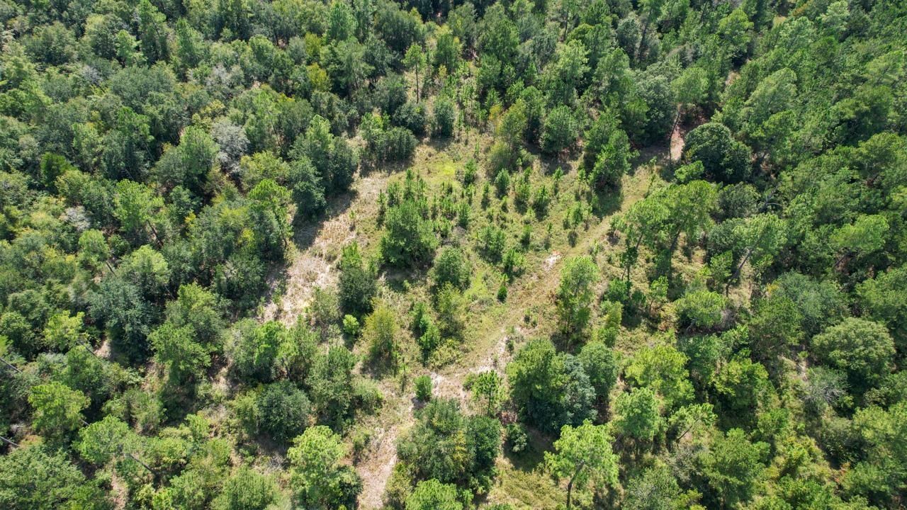 379 Glory Road , Quincy, FL 32352 Photo