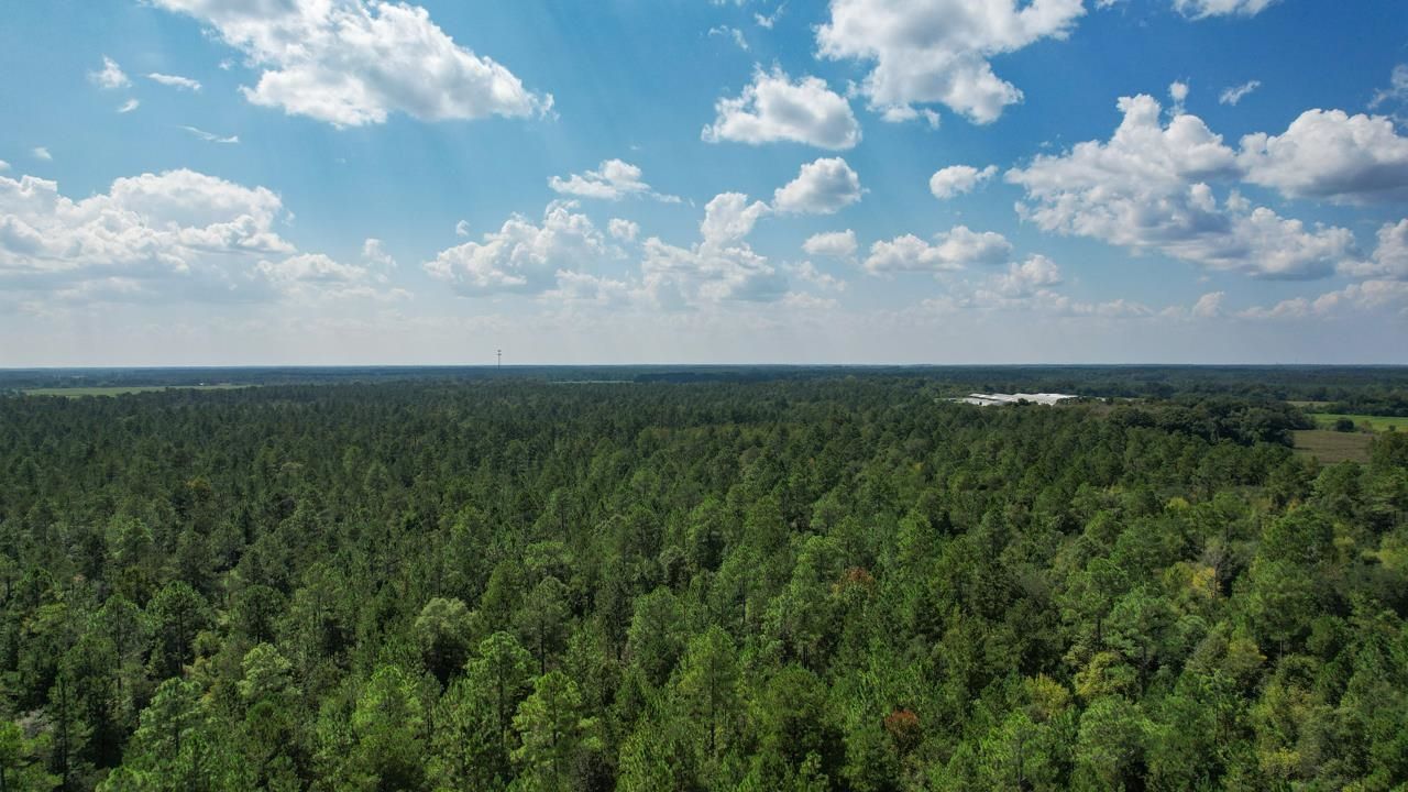 379 Glory Road , Quincy, FL 32352 Photo