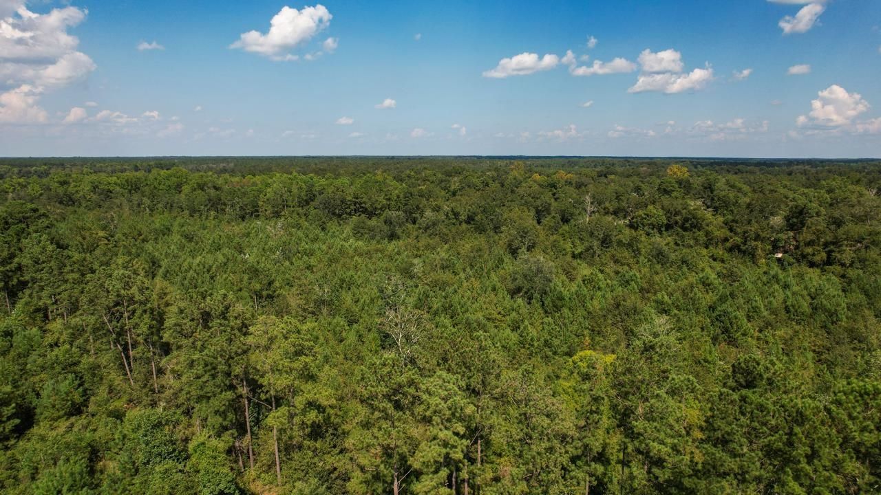 379 Glory Road , Quincy, FL 32352 Photo