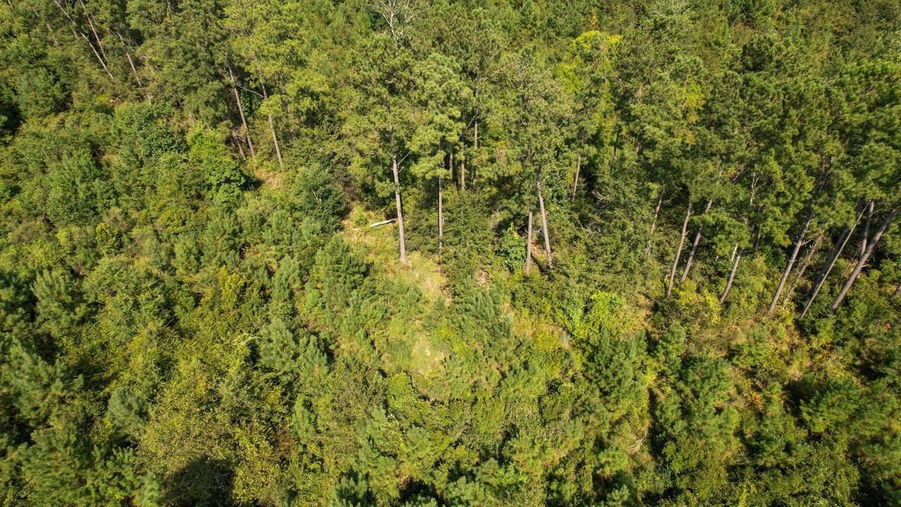 379 Glory Road , Quincy, FL 32352 Photo