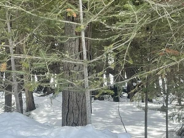 1.24 AC E Huron Drive, Bois Blanc, MI 49775