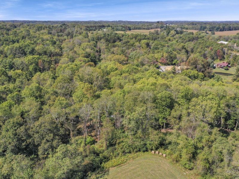 298 Tillamook Lane, Bremen, OH 43107 Photo 46