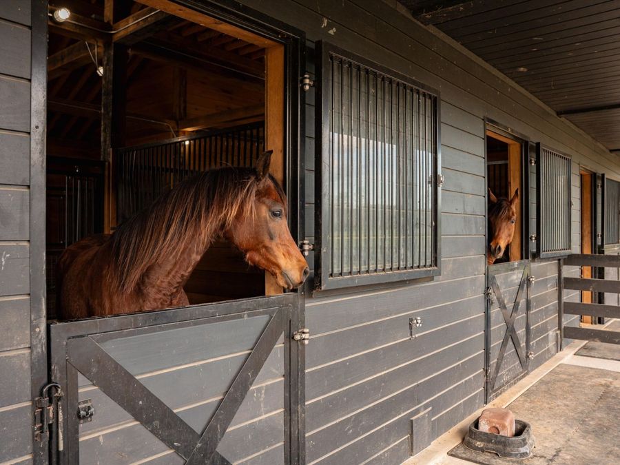 Property Image 63