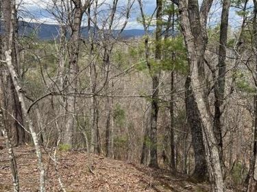 0 VALLEY VIEW, BASYE, VA 22810