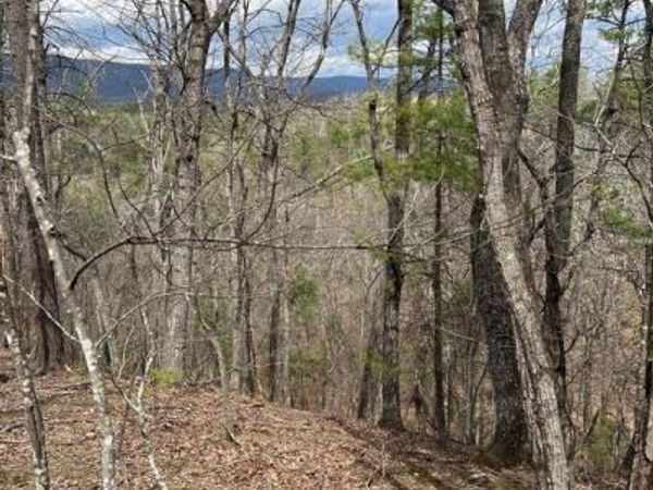 0 VALLEY VIEW , BASYE, VA 22810