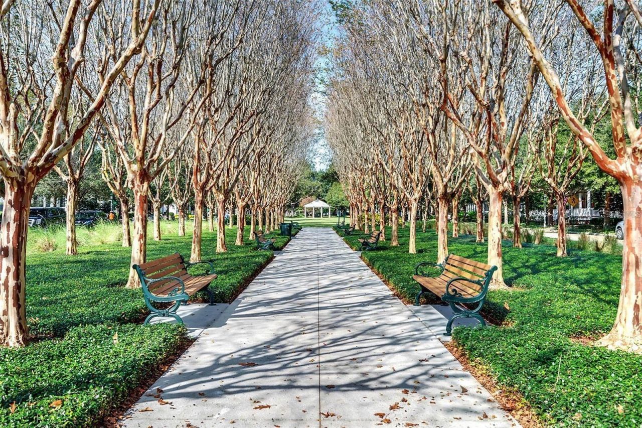 707 Eagle Woods Trail, Celebration, FL 34747 Photo