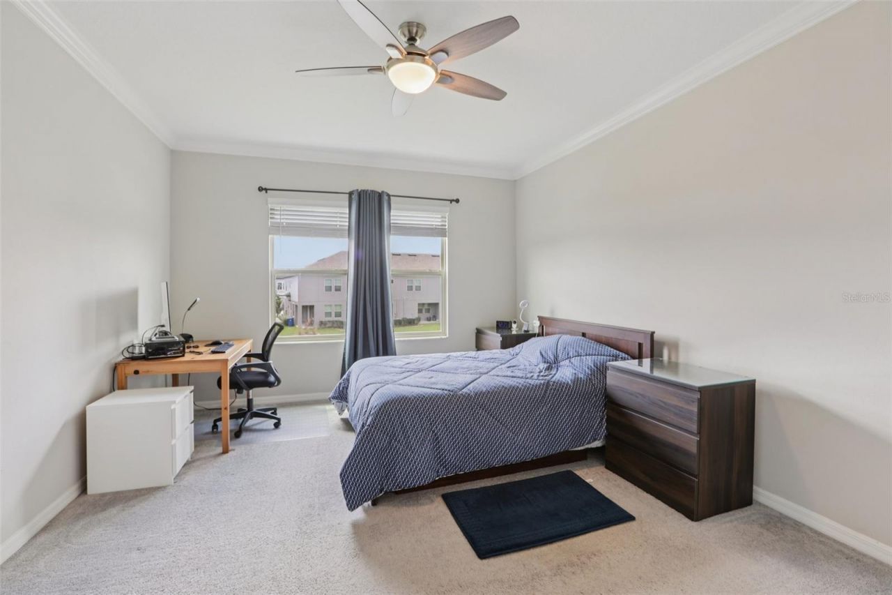 32010 Blue Passing Loop , Wesley Chapel, FL 33545 Photo