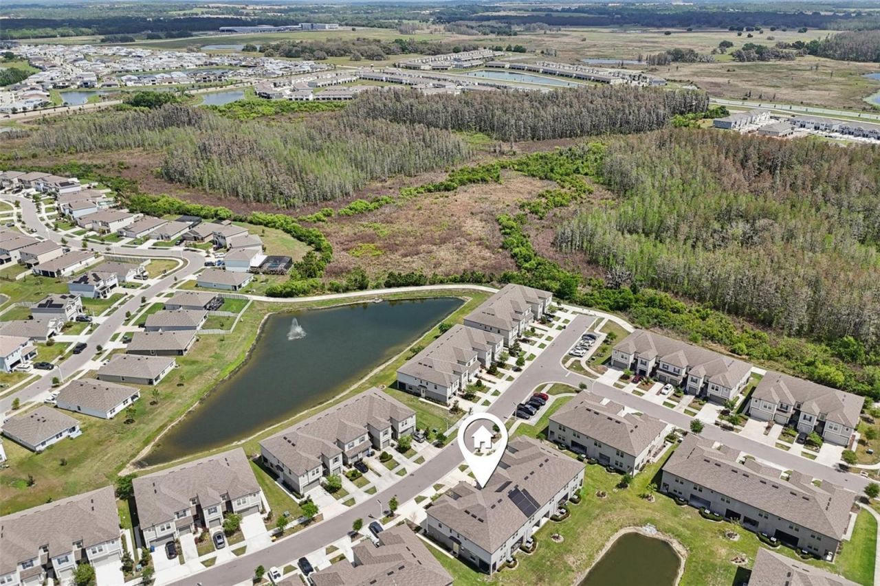 32010 Blue Passing Loop , Wesley Chapel, FL 33545 Photo