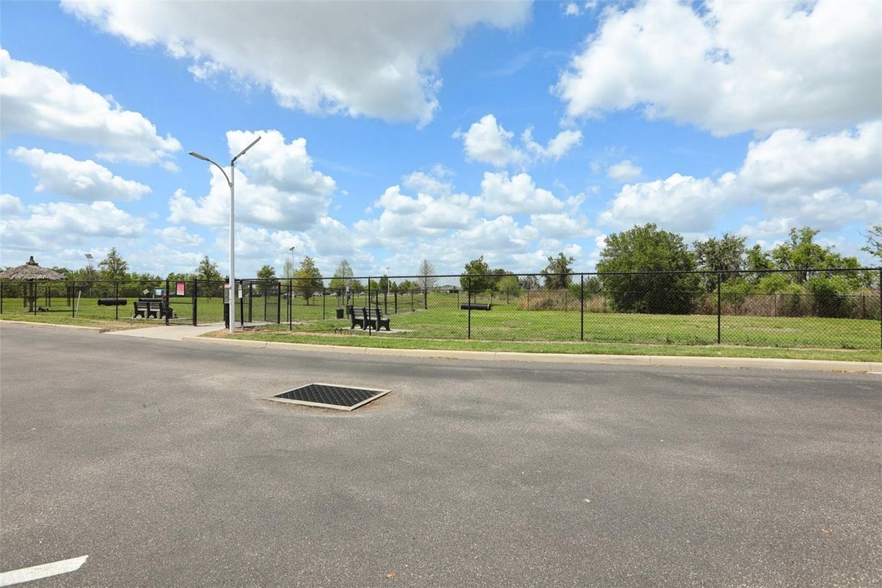 32010 Blue Passing Loop , Wesley Chapel, FL 33545 Photo