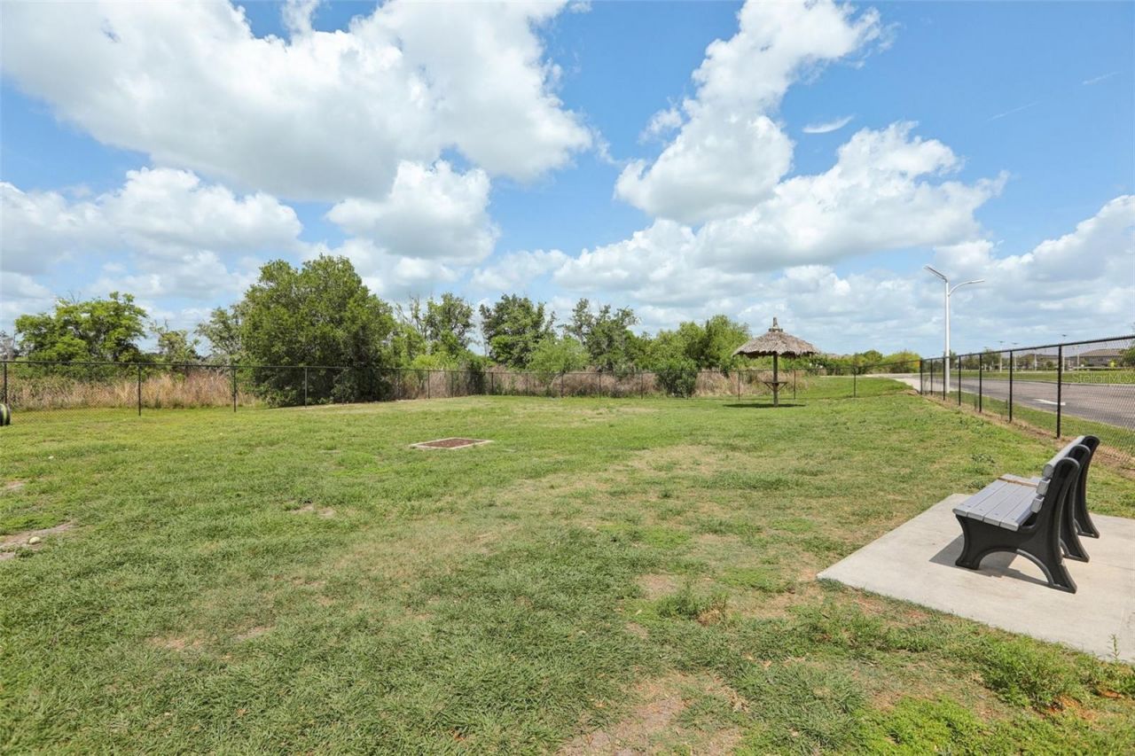 32010 Blue Passing Loop , Wesley Chapel, FL 33545 Photo