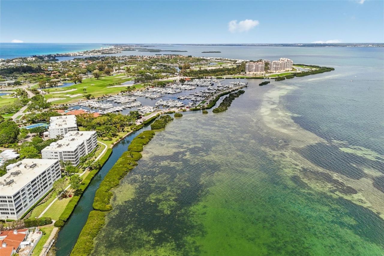 2450 Harbourside Drive, Unit 244, Longboat Key, FL 34228 Photo