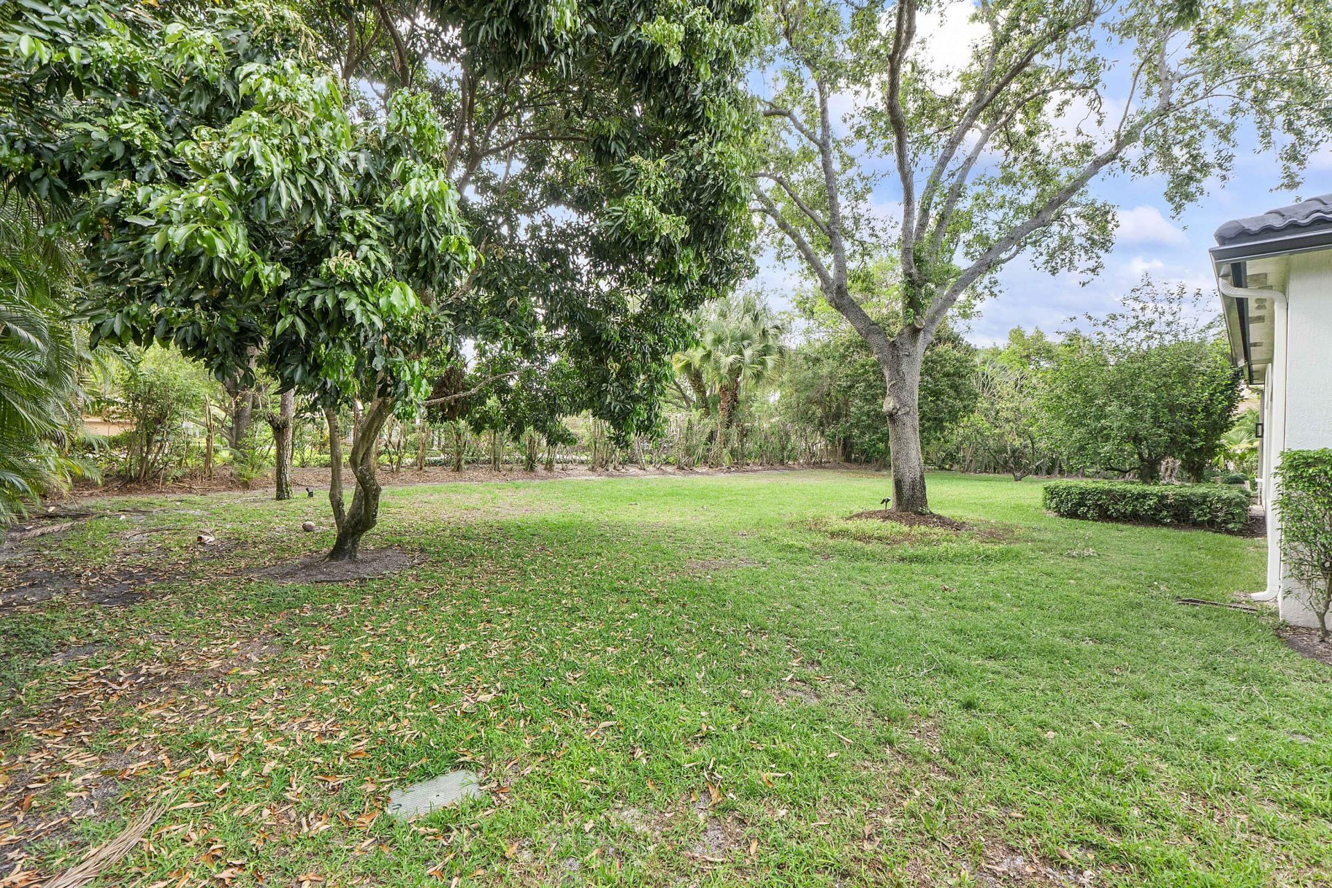 6015 Pinewood Avenue, Parkland, FL 33067 Photo