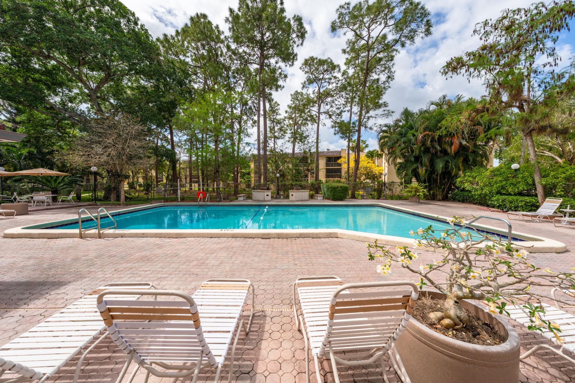 8421 Forest Hills Drive, Unit 106, Coral Springs, FL 33065 Photo