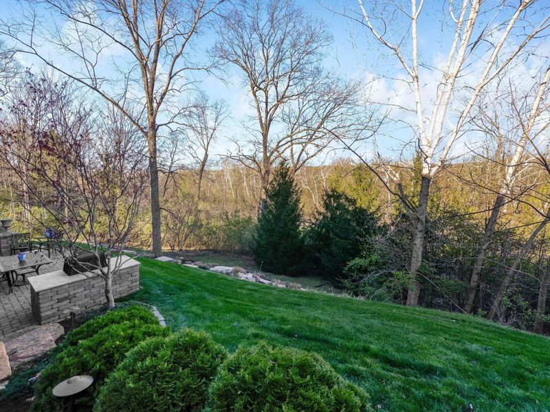 1403 Riverwood Lane, Powell, OH 43065 Photo 78