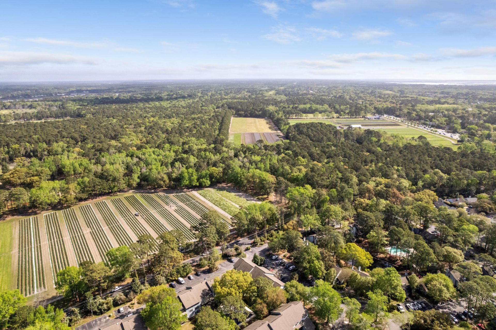 1130 Silent Harbor Court Photo 38