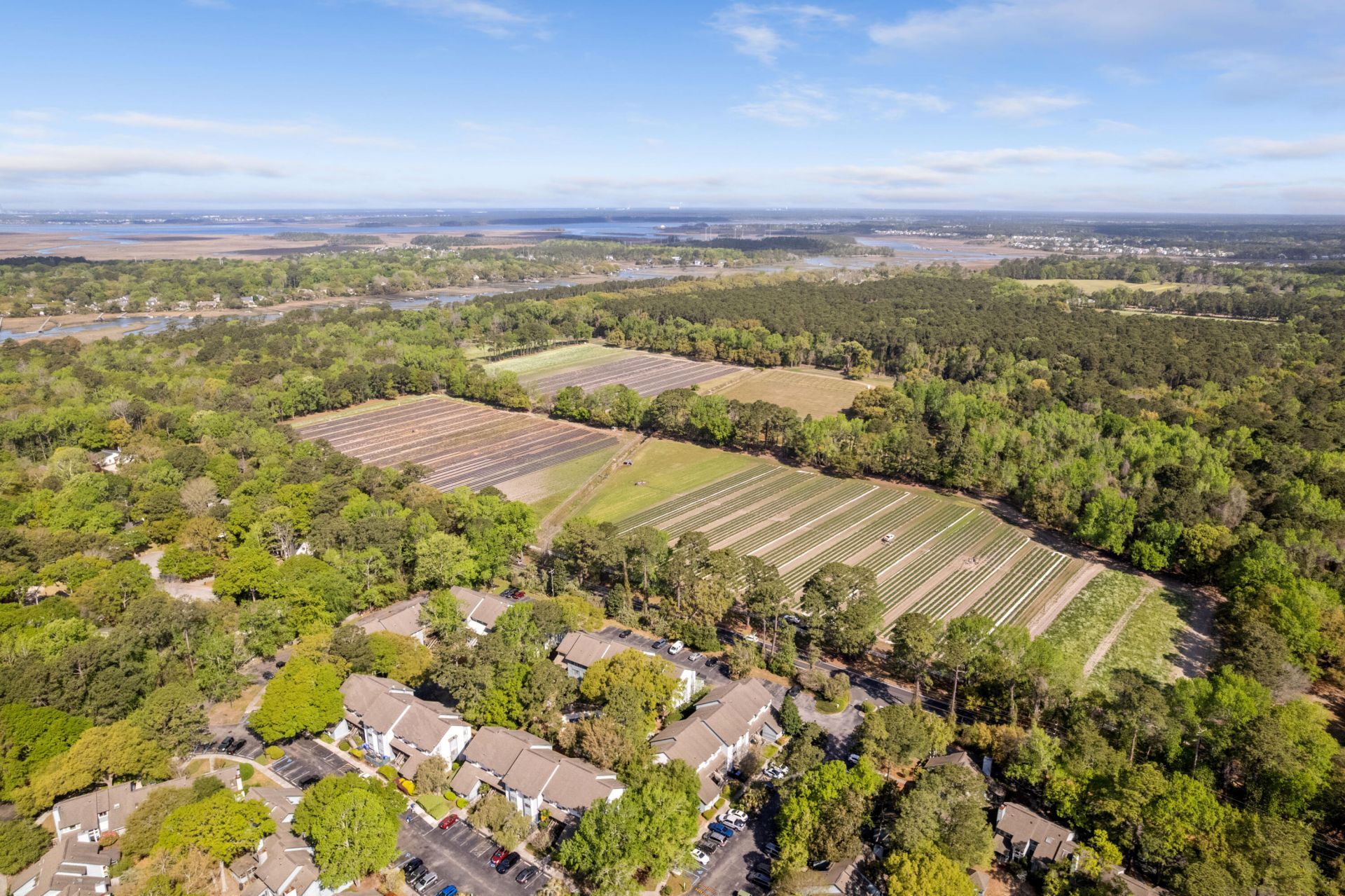 1130 Silent Harbor Court Photo 40