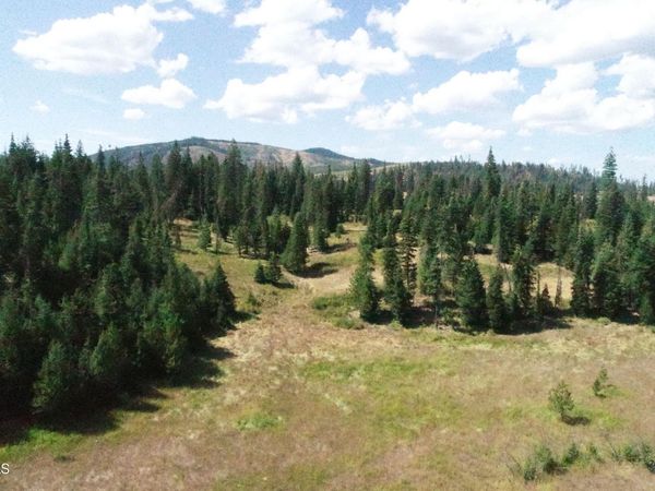 NNA lot 2 Carpenter Creek Rd, Fernwood, ID 83830