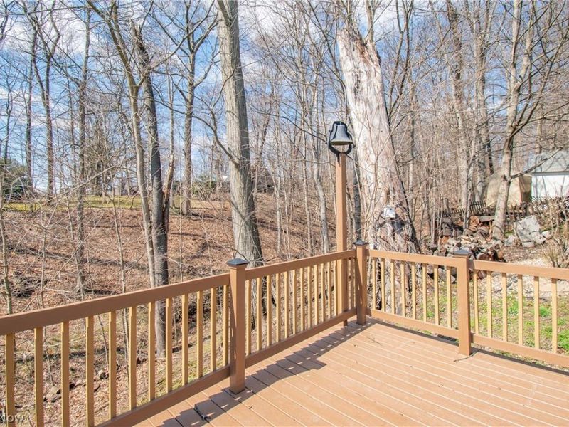 247 S Hickin Street, Rittman, OH 44270 Photo 27