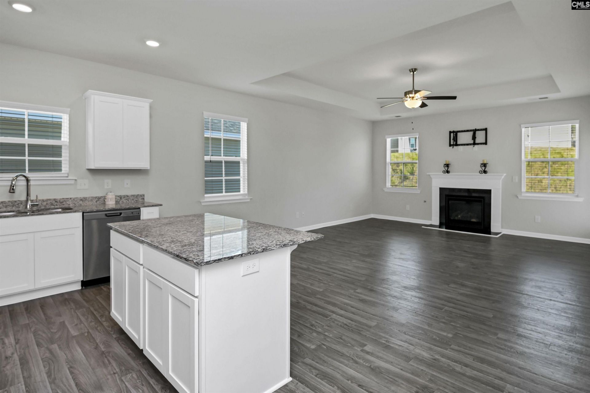 291 Savannah Wood Drive  Photo 4