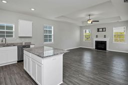 291 Savannah Wood Drive  photo 4