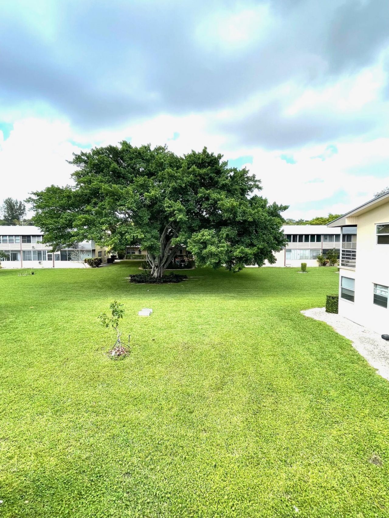 215 Canterbury J, West Palm Beach, FL 33417 Photo