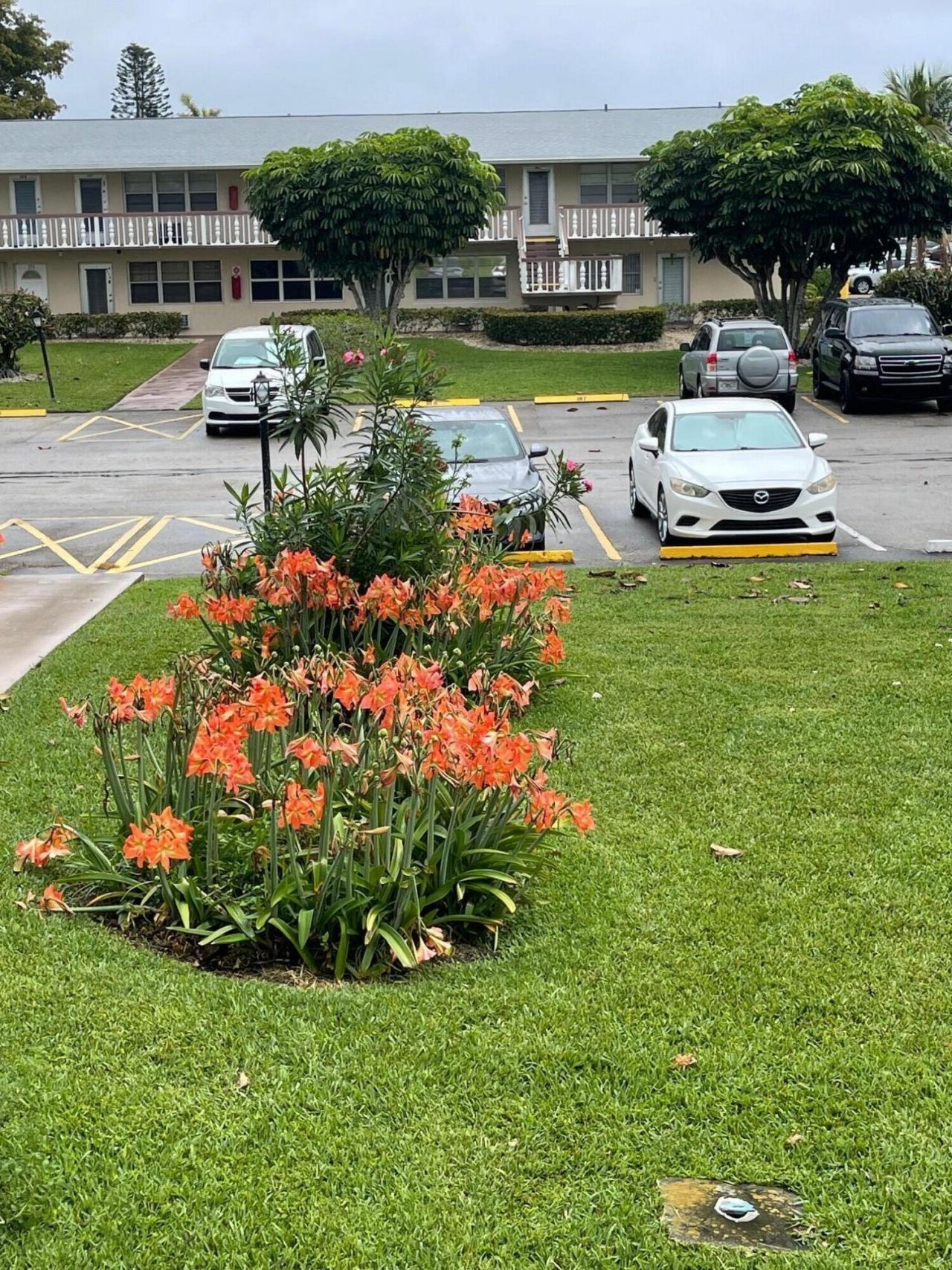 215 Canterbury J, West Palm Beach, FL 33417 Photo