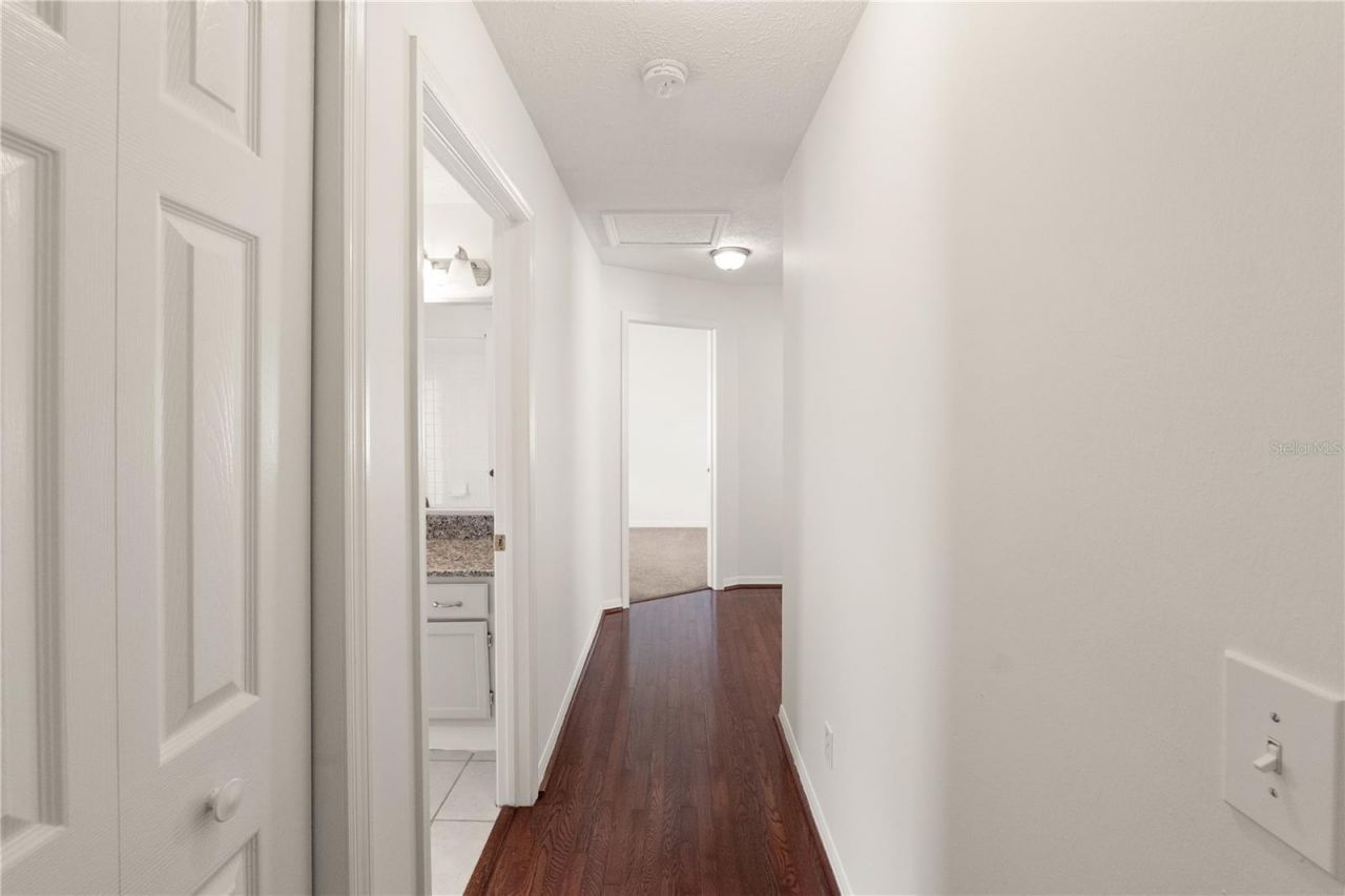 931 Balsamina Drive , Brandon, FL 33510 Photo