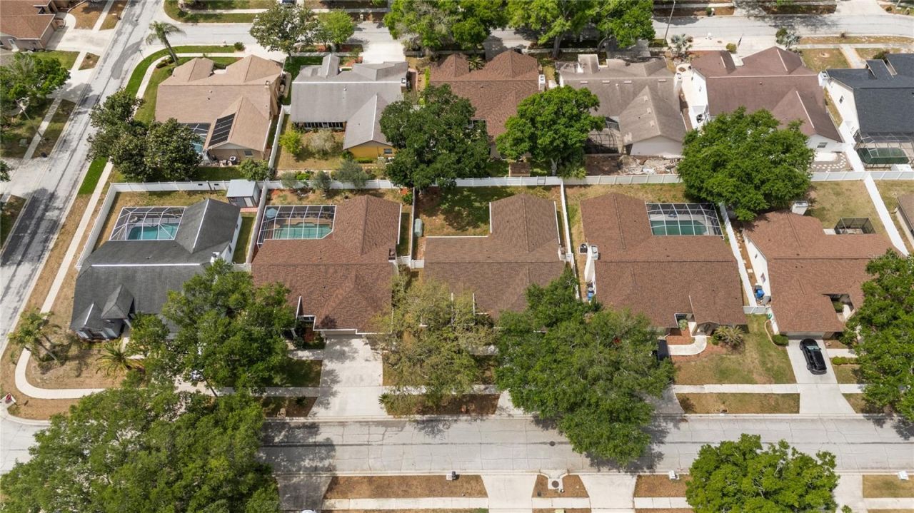 931 Balsamina Drive , Brandon, FL 33510 Photo