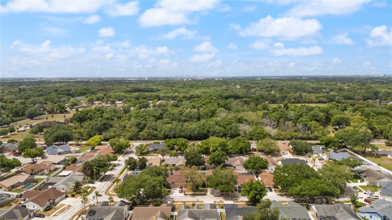 931 Balsamina Drive , Brandon, FL 33510 Photo