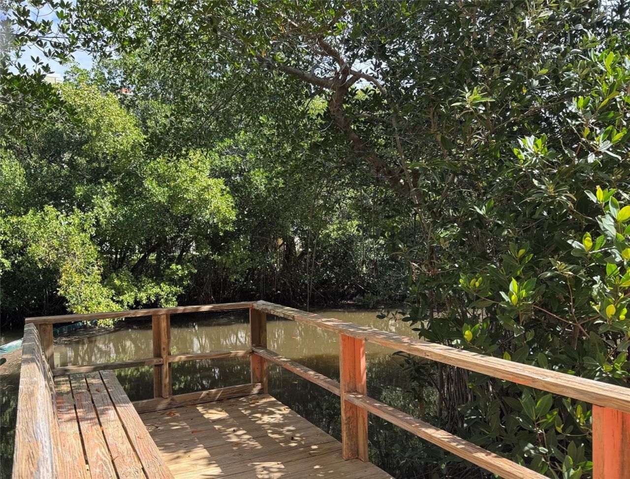 4435 1st Street Ne, Unit 103, Saint Petersburg, FL 33703 Photo