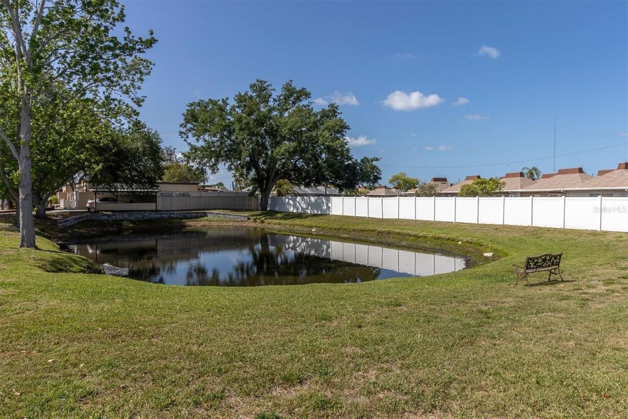 2216 Oak Wind Drive, Holiday, FL 34691 Photo